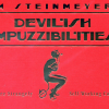 Devilish  Impuzzibilities by Jim Steinmeyer - Book
