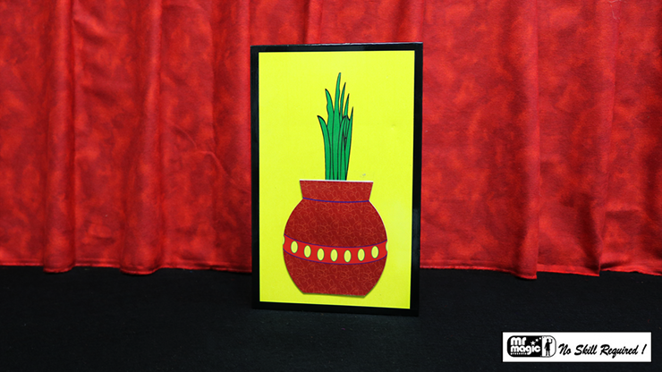 3D Flower Bouquet Blooming Vase by Mr. Magic - Trick