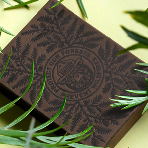 Smokey Bear Limited Edition Playing Cards by Art of Play