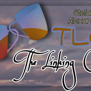 TLC (The Linking Cup) by Stefanus Alexander video DOWNLOAD