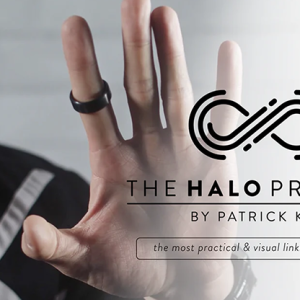 The Halo Project (Silver Edition) Size 11 (Gimmicks and Online Instructions) by Patrick Kun - Trick